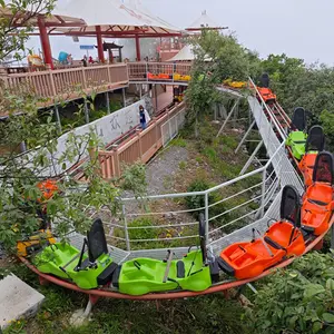 Mainan Roller Coaster plastik taman berkualitas terjamin