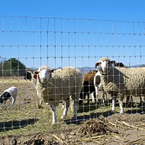 Grassland Farm Guard Agricultural Field Goat Cattle Sheep Galvanized Wire Mesh Fence Netting For Animal