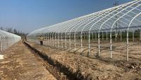 Fabriek produceert eenvoudige gebogen kassen voor groenten, fruit en bloemen, geschikt voor lente- en herfstteelt.