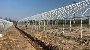 Serres arquées simples de fabrication industrielle pour légumes, fruits et fleurs, idéales pour la culture printanière et automnale. - Product Image 5