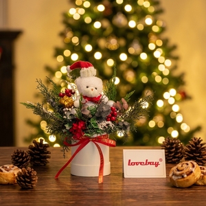 Lovebay Décoration de Noël pour la maison : Fleurs éternelles préservées en boîte ronde, Fleurs séchées en gros pour cadeaux - Product Image 3
