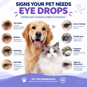 <span class=keywords><strong>Gotas</strong></span> y Enjuague Oftálmico Antimicrobianas para Perros y Gatos para Ojos Secos/Con Picazón y Alivio de Manchas de Lágrimas - Marca Privada OEM/ODM para Uso en Exteriores - Product Image 4