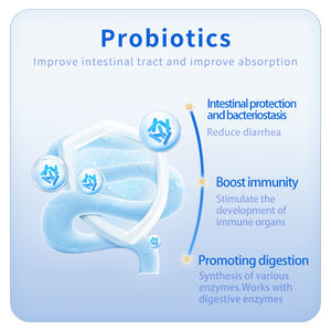 Süt üretimini artırın hayvan yemi sınıf sığır büyümesi ve mastiti önleyen kanatlı tozu katkısı için Vitamin Premix - Product Image 5