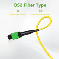 Kabel Fiber MPO ke MPO (APC) 2M 10G/40G OS2 Single Mode 8 Strand MPO/MTP Tipe B LSZH untuk Kotak Transisi MPO