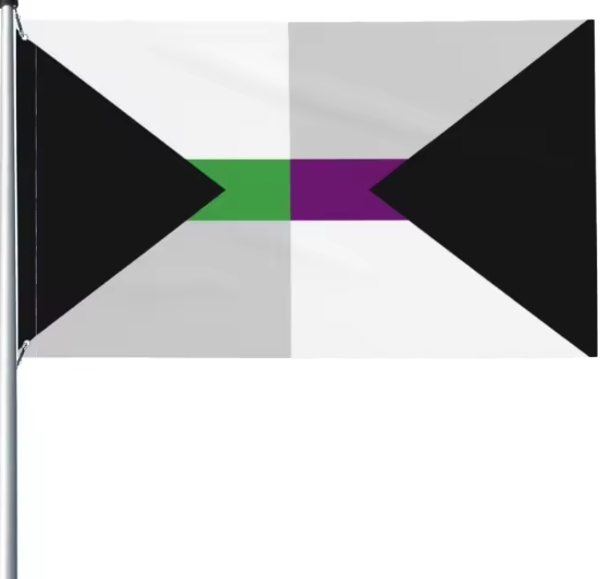 Demisessuale Demiromantico6