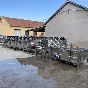 Nettoyage de fruits de mer Herbe <span class=keywords><strong>Carpe</strong></span> Crucian Perche Blackfish Catfish Cod Salmon Air Bubble Machine à laver - Product Image 6