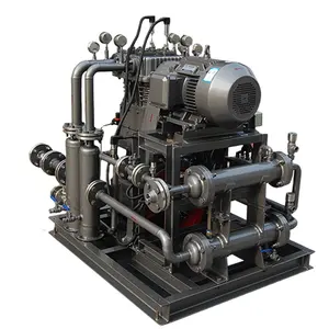 Liquid used natural gas oil free compressor for mini lng plant ZW-0.14/(1~3)-10