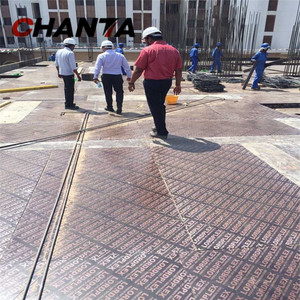 18 millimetri di colonna di legno compensato casseforme Per La Costruzione di materiale da costruzione per La Costruzione - Product Image 5