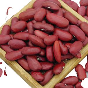 Аргентина/США красная фасоль однородного цвета с низким содержанием влаги для экспорта MOQ 20mt - Product Image 4