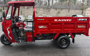 Distributeur mondial recherché 2025 <span class=keywords><strong>meilleur</strong></span> Tricycle cargo moto à essence KAINIU J7 Tricycle refroidi à l'eau 200CC moteur 3 roues - Product Image 5