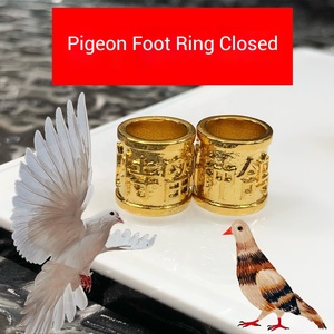 鸽子松环闭合环脚环真空厚电镀赛鸽训练鸽子宠物码识别 - Product Image 6