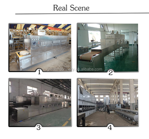 Konveyör bant tipi mikrodalga hamuru yumurta tepsisi tünel tip kurutucu mikrodalga fırınlar - Product Image 5