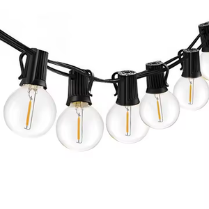 Fabrikpreis Wasserdichte Bruchsichere Outdoor 1W G40 Globe <span class=keywords><strong>LED</strong></span>-Filament-Glühbirnen - Product Image 1