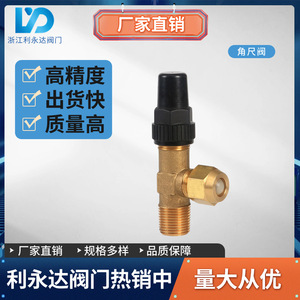 Robinet d'angle en laiton Li Yongda DG4 à filetage mâle pour utilisation en réfrigération à l'ammoniac - Product Image 4