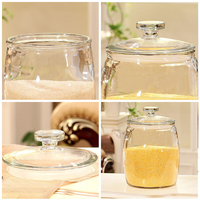 Bocal de stockage en verre flint sans plomb, 128 oz (1 gallon), résistant à l'humidité, étanche, avec couvercle à charnière, compatible lave-vaisselle, pour brassage et fermentation