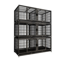 Cage d'élevage pour chats à double porte avec séparateur amovible pour chatons, chiens, lapins, en fil galvanisé, avec plateau extractible