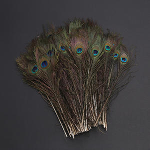 Plumes naturelles de queue de paon de 50-60cm de long bon marché en gros pour les costumes de carnaval et la décoration de festival - Product Image 1