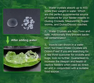 Super Penyerap Polimer Tulang Kering Toaches Cacing Lebah Super Gel Air Serangga Pengumpan Serangga - Product Image 3