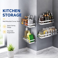 Étagère murale de rangement pour épices de cuisine en acier inoxydable, sans perçage, gain de place, pour bouteilles