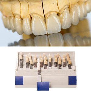 SJ Chuyên Nghiệp Răng Nha Khoa Làm Trắng Bóng Hướng Dẫn Toothguid 3D Master Cho Nha Sĩ Theo Dõi Răng Làm Trắng Tất nhiên - Product Image 5