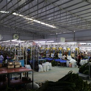 Poinsettias Rojas de Alta Calidad, <span class=keywords><strong>2</strong></span> Cabezas de Flor de Terciopelo, 26 Pulgadas, para Decoraciones de Regreso a Clases, Navidad y Año Nuevo Chino - Product Image 5