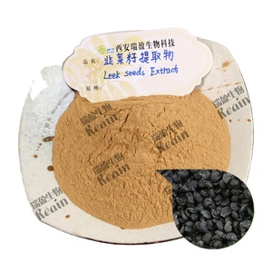 Extracto de Semilla de Cebolleta China en Polvo, Extracto Puro y Natural de <span class=keywords><strong>Allium</strong></span> <span class=keywords><strong>Tuberosum</strong></span> en Polvo, Extracto de Puerro en Polvo - Product Image 1