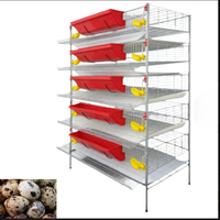 Cage à étages robuste de type H pour la production d'œufs de cailles, avec alimentation et abreuvement automatiques