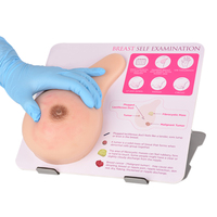Modelo de Autoexamen de Cáncer de Mama Femenino con Masas Irregulares, Espécimen de Silicona para Educación Sanitaria, BSE 0.7kg 25.5x6x16cm