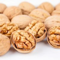 Gedroogde dunne walnoten, bulk, puur natuurlijk, gezonde noten, smakelijke walnoten, verse gepelde dunne walnoten