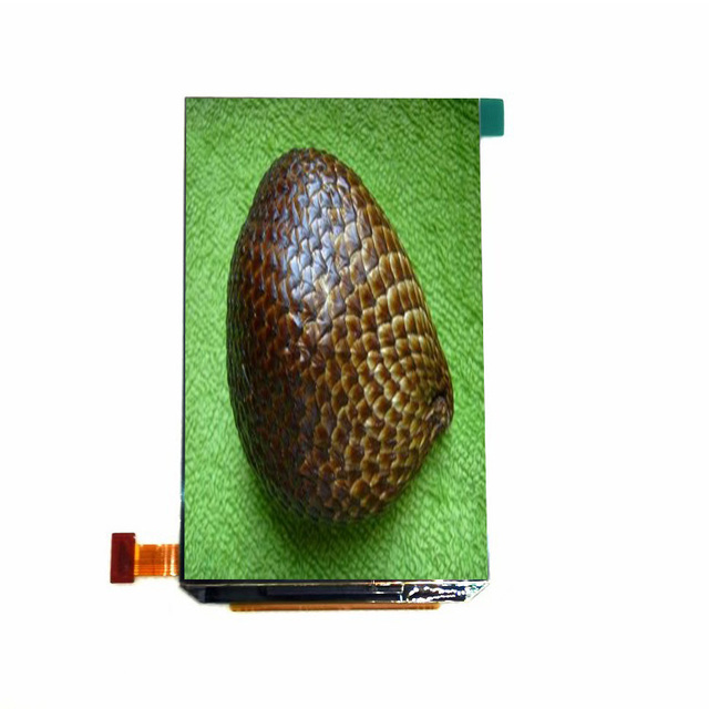 4.3 inch 480*800 resolution MIPI 300nits brightness AMOLED display AMS427GU01 V1.1