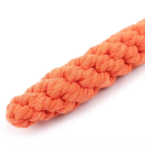 Juguete para Perros de Alta Calidad, Ecológico e Interactivo, Resistente a Mordidas, de Cuerda de Algodón, con Forma de Zanahoria o Vegetal, para Limpiar los Dientes - Product Image 2