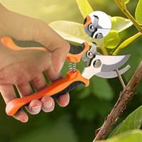Ensemble d'outils de jardinage DIY pour débutants, 20 pièces, kit d'outils pour bonsaï