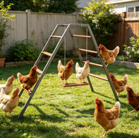 Barre de repos en fer pour poulets, jouet balançoire, perchoir extérieur pour volailles, pour poulailler