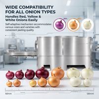Éplucheur et coupe-racines d'oignons de haute qualité pour l'exportation