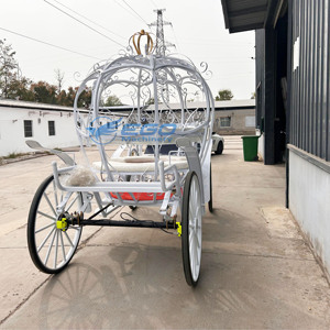 Carrozas de Caballos Eléctricas Modelo 2026 de Gran Venta, Carruajes Reales y Transporte Especial Tirado por Caballos en Venta - Product Image 3