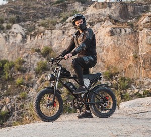 1000W 20*4 inch chất béo lốp xe 48V 20Ah ridstar Q20 Xe đạp điện với tốc độ tối đa <span class=keywords><strong>30mph</strong></span> - Product Image 4