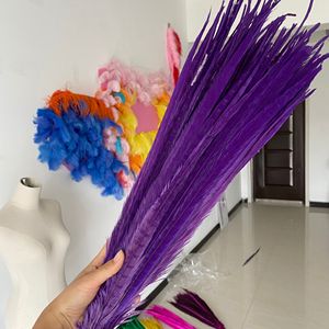 Plumas <span class=keywords><strong>de</strong></span> Faisán Baratas <span class=keywords><strong>de</strong></span> 45-50 cm Teñidas <span class=keywords><strong>de</strong></span> Cola <span class=keywords><strong>de</strong></span> Faisán <span class=keywords><strong>de</strong></span> Collar en <span class=keywords><strong>Venta</strong></span> para Disfraz <span class=keywords><strong>de</strong></span> Carnaval Sexy y Popular - Product Image 2