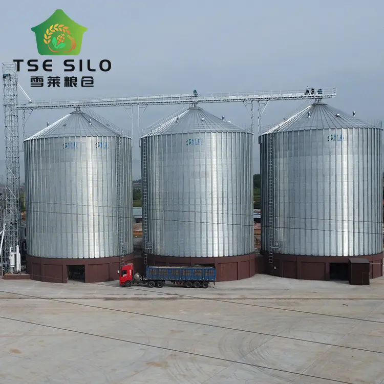 ODM Manufacturer Galvanized Flat Bottom Steel Silos for Pig Farm