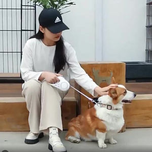 Nuevo diseño LED luminoso automático retráctil correa de perro Nylon Anti-enredo noche iluminar correas para mascotas - Product Image 5