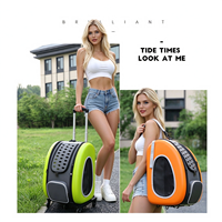 Sac à dos de transport pour animaux de compagnie 3 en 1, sac à bandoulière respirant et portable pour chat et chien, détachable pour les promenades en plein air et les visites chez le vétérinaire