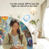 Directo de fábrica estándar europeo Alexa Google Home WiFi enchufe luz de pared eléctrica inteligente interruptor de tres canales