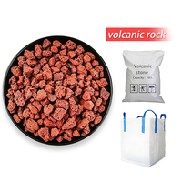 Pierre volcanique naturelle à faible teneur en poussière et à forte adsorption pour la filtration biologique des aquariums, le tapis pour reptiles, les bonsaïs et la plantation de plantes succulentes