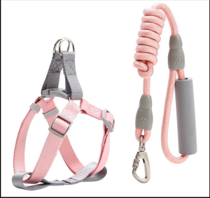 ชุดสายจูงและปลอกคอสุนัขไนลอนสีฟ้าอ่อน ปรับขนาดได้ด้วยหัวเข็มขัด - Product Image 5