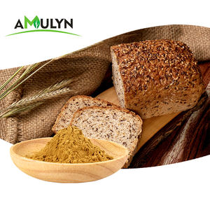 Extrait de graines de lin en poudre 20% - Product Image 4