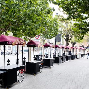 Remolque de Bicicleta Móvil de 3 Ruedas de Acero Inoxidable Resistente a la Corrosión para Venta de Comida Rápida, Carrito de Hot Dogs para Restaurantes y Tiendas de Comida 220V - Product Image 3