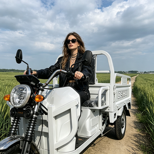2026 BEIHAI Three Wheeled Supercar Cheap Mini 60V 2000W Scooter 3 Wheel <b>Passenger</b> Tricycles for Adults - Product Image 2