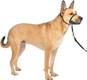 <span class=keywords><strong>Collar</strong></span> para Perro al por Mayor con Correa Ajustable, Clip de Seguridad Antitirones, Tela Suave Acolchada de Nailon, Reflectante Sólido - Product Image 1