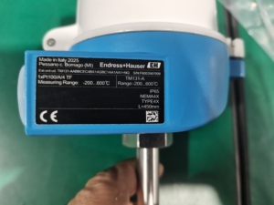 Termómetro Original Endress Hauser TM131, Termómetro Modular de Temperatura E+H TM131, Sensor de Temperatura Seguro - Product Image 4