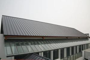 पारंपरिक 24 गेज गैल्वेनाइज्ड गर्मी प्रतिरोधी छत पैनल सीधे सीम रंग-लेपित एल्यूमीनियम प्लेट 360 डिग्री मंदिर अपार्टमेंट - Product Image 6