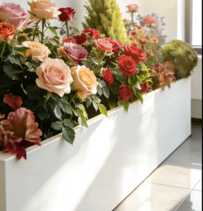 <span class=keywords><strong>Fioriera</strong></span> Rettangolare in Acciaio Inox per <span class=keywords><strong>Balcone</strong></span> e Giardino, Dimensioni Personalizzabili - Product Image 2